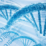 Drawing of a DNA and data sequence.